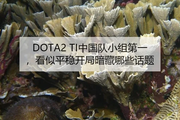 DOTA2 TI中国队小组第一，看似平稳开局暗藏哪些话题